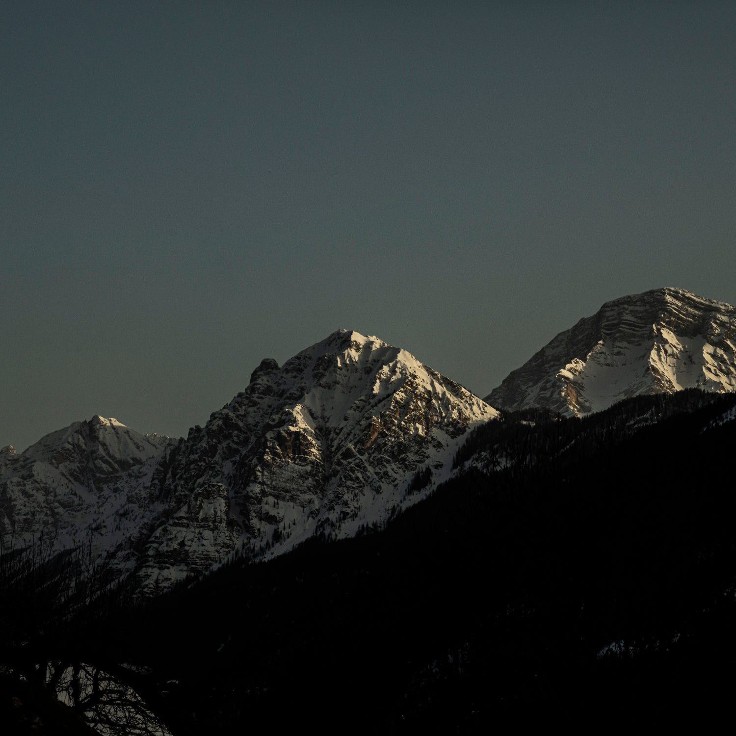 GRIS ÉTOILE – The Nocturnal Whisper