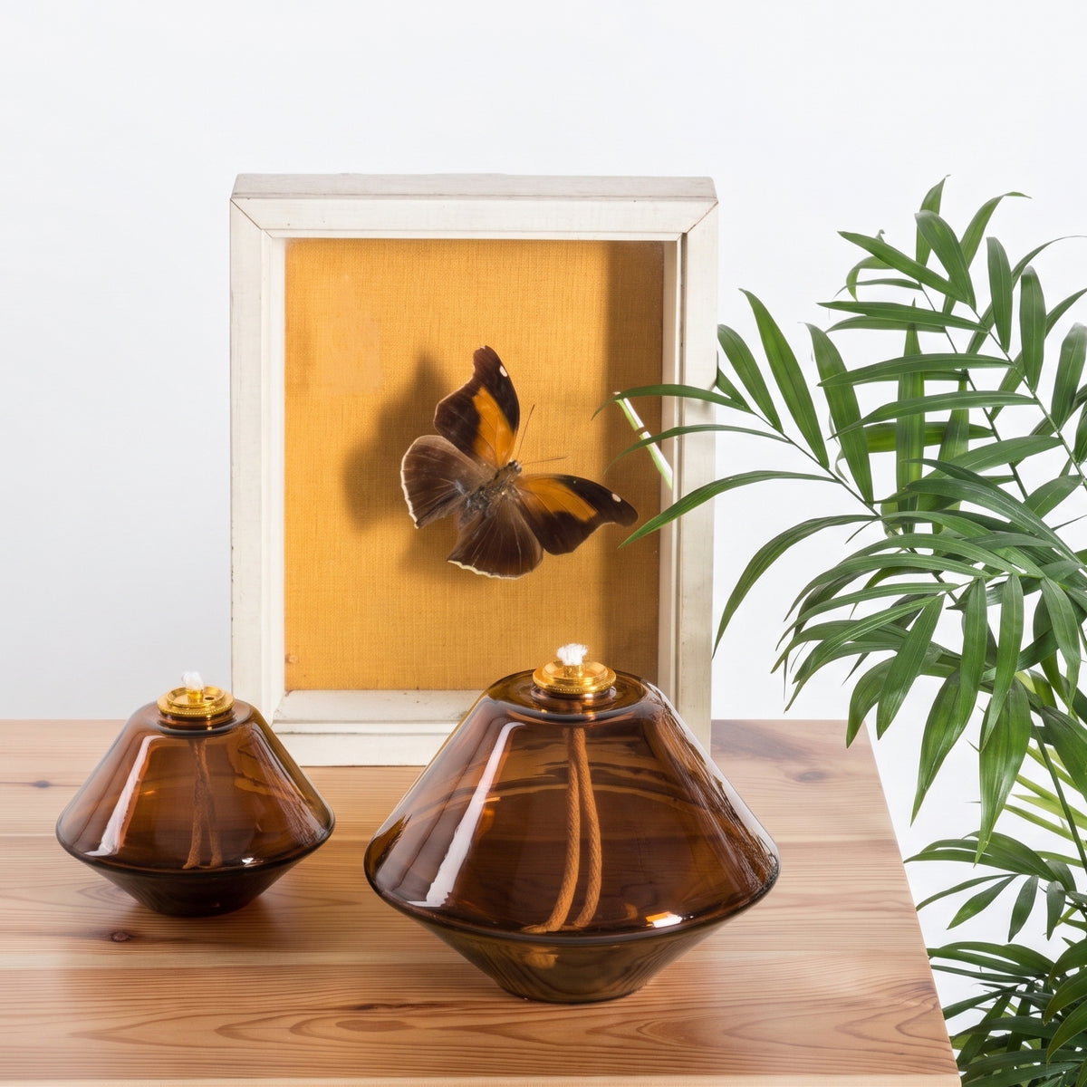 EARTH BROWN Bundle