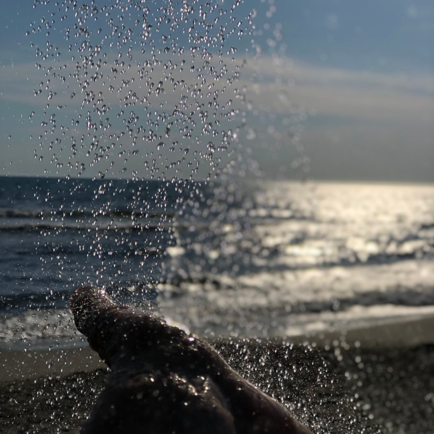 ACCORD'EAU - Morning Light on Water